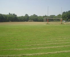 府中の森公園サッカー場