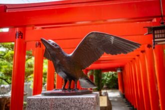 サッカー日本代表のマーク「八咫烏(やたがらす)」の意味は?どんな由来があるの? | フットボールジャンキー